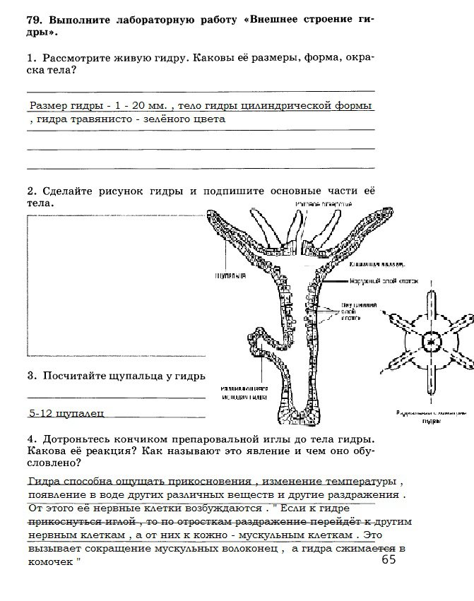 Vk8 at кракен