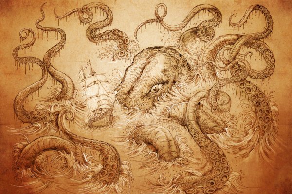 Kraken kraken link24 info