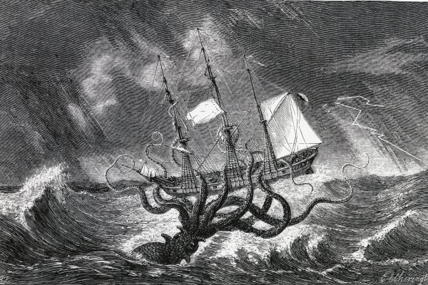 Kraken 19at
