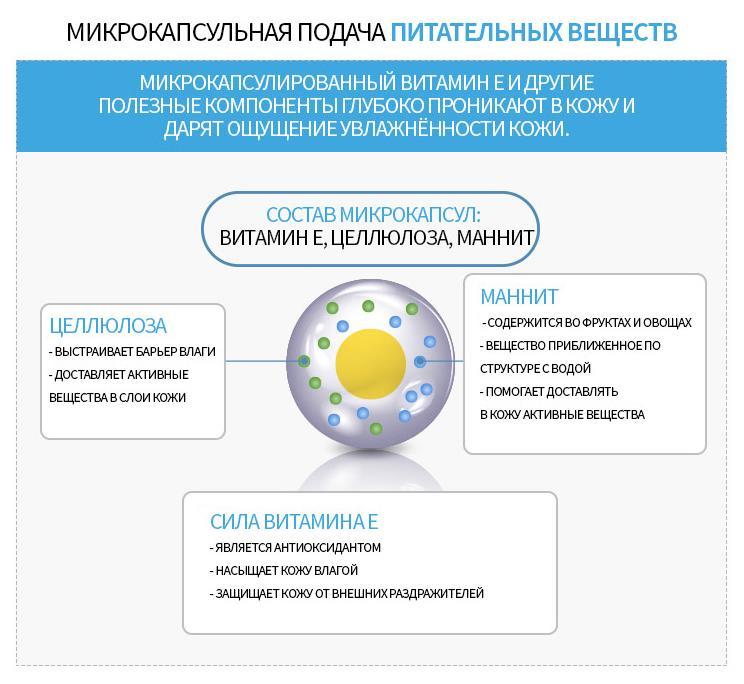 Можно ли зайти на кракен через обычный браузер