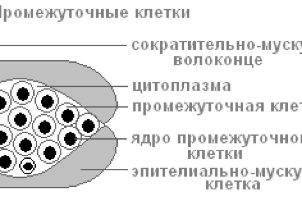 Кракен ссылка на тор официальная