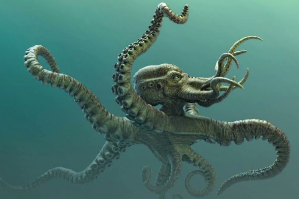 Kraken фейк сайт