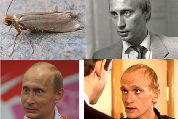 Кракен даркнет слушать