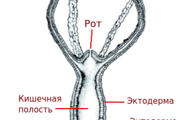 Кракен адрес даркнет