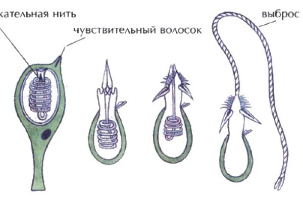 Кракен 2kr pro